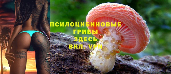 амф Абаза